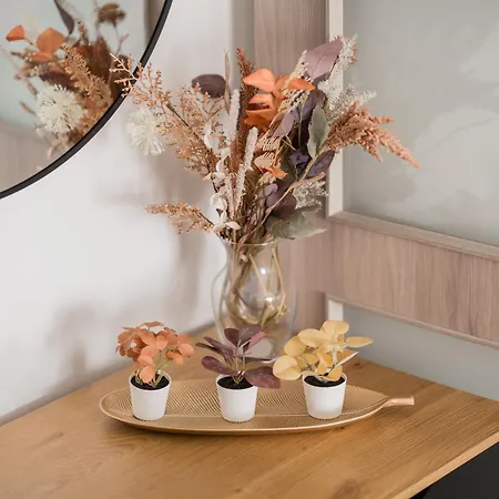 Stylish Above The Buzz *